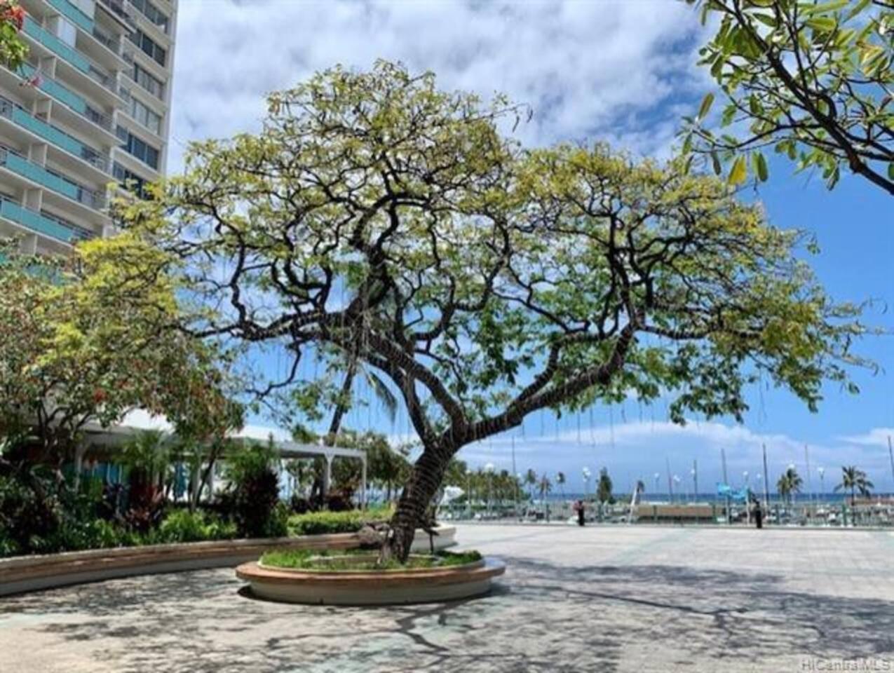 Ilikai On Waikiki Beach Oceanview Hotel Condo 1729 Гонолулу Екстер'єр фото